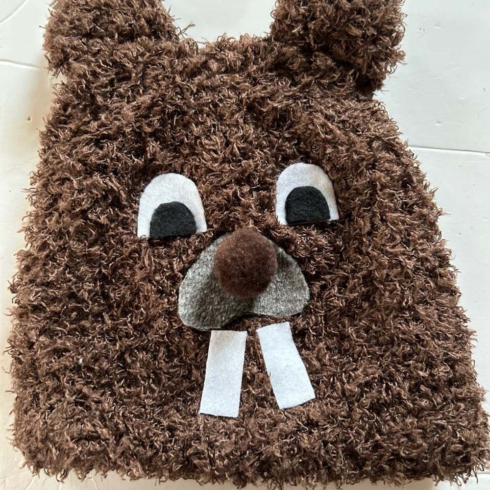 Groundhog Baby Toddler Hat for Groundhog Day, Warm Lined Hat.